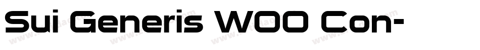 Sui Generis W00 Con字体转换
